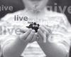 Live a Life of Loving and Giving