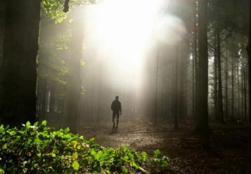 Walk Toward the Light