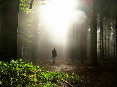 Walk Toward the Light