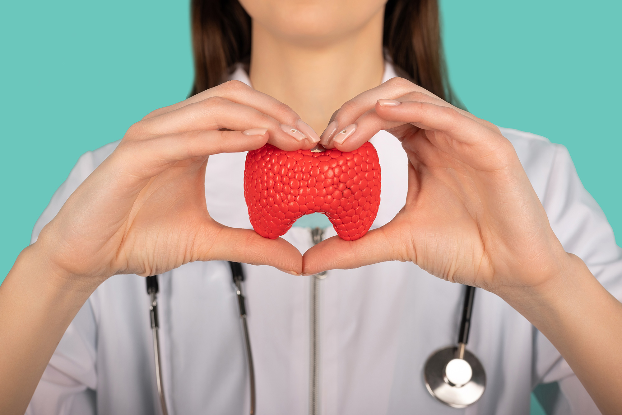 Photo of a female doctor holding a mockup thyroid gland.